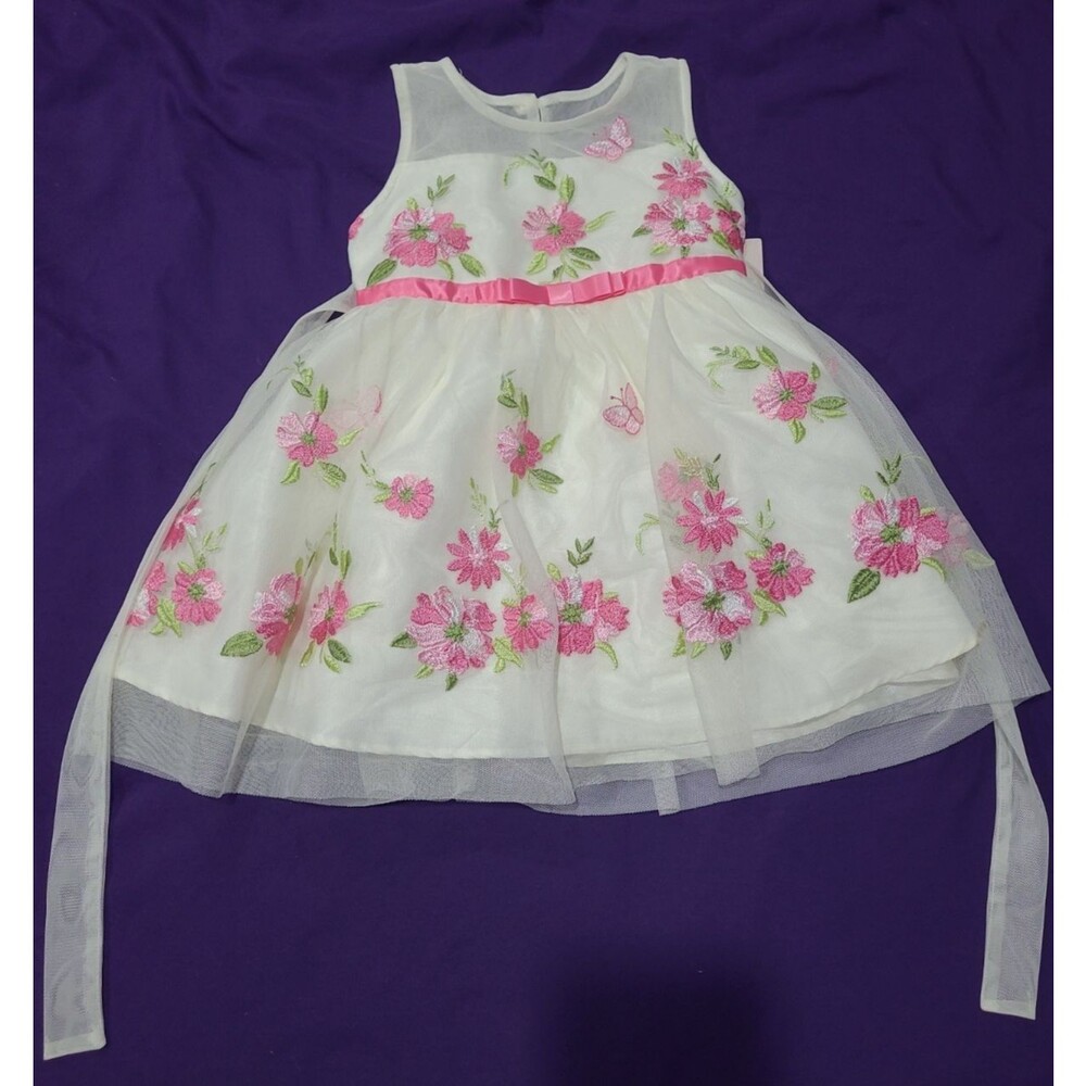 Jona Michelle Little Girl's (Kids) Special Occasion Dress 2T, Ivory, Pink Lace